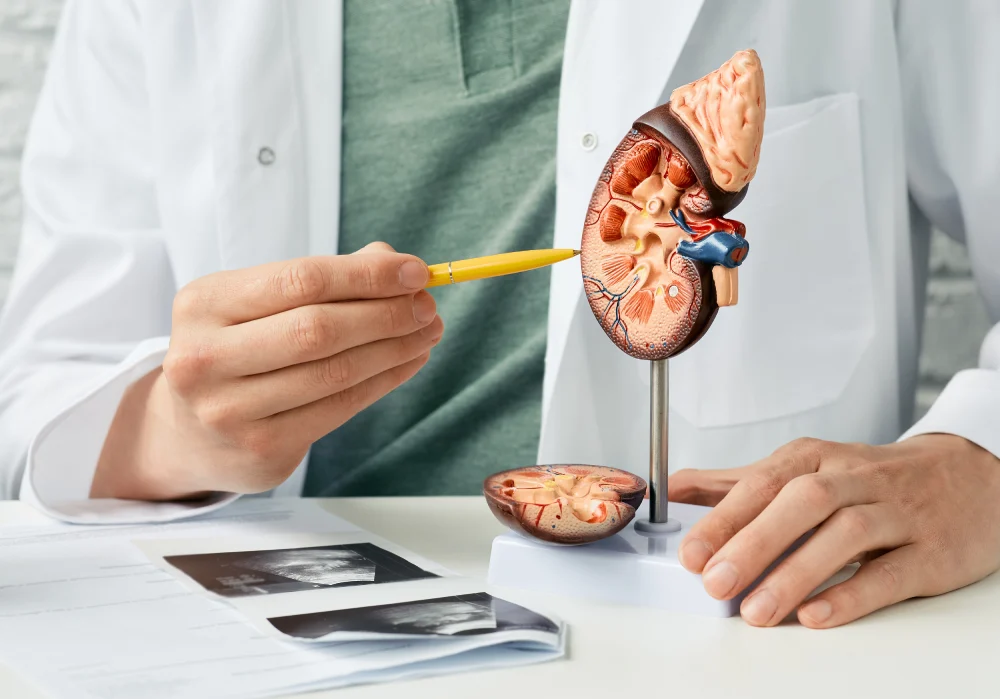 Urology specialist reviewing diagnostic test results and discussing treatment options with a patient